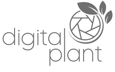 Conheça a agência Digital Plant