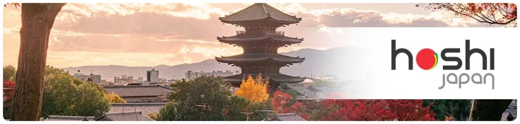 Valide seu visto Japonês